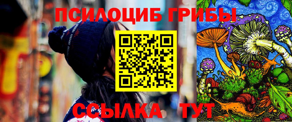 Галлюциногенные грибы Psilocybine cubensis Новочеркасск