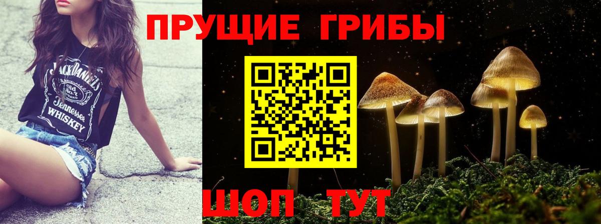 Галлюциногенные грибы Psilocybine cubensis  Вход с VPN  Новочеркасск 